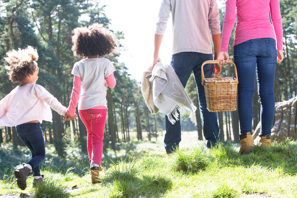 Family Picnic 