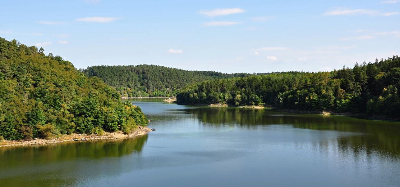 Dam in forests