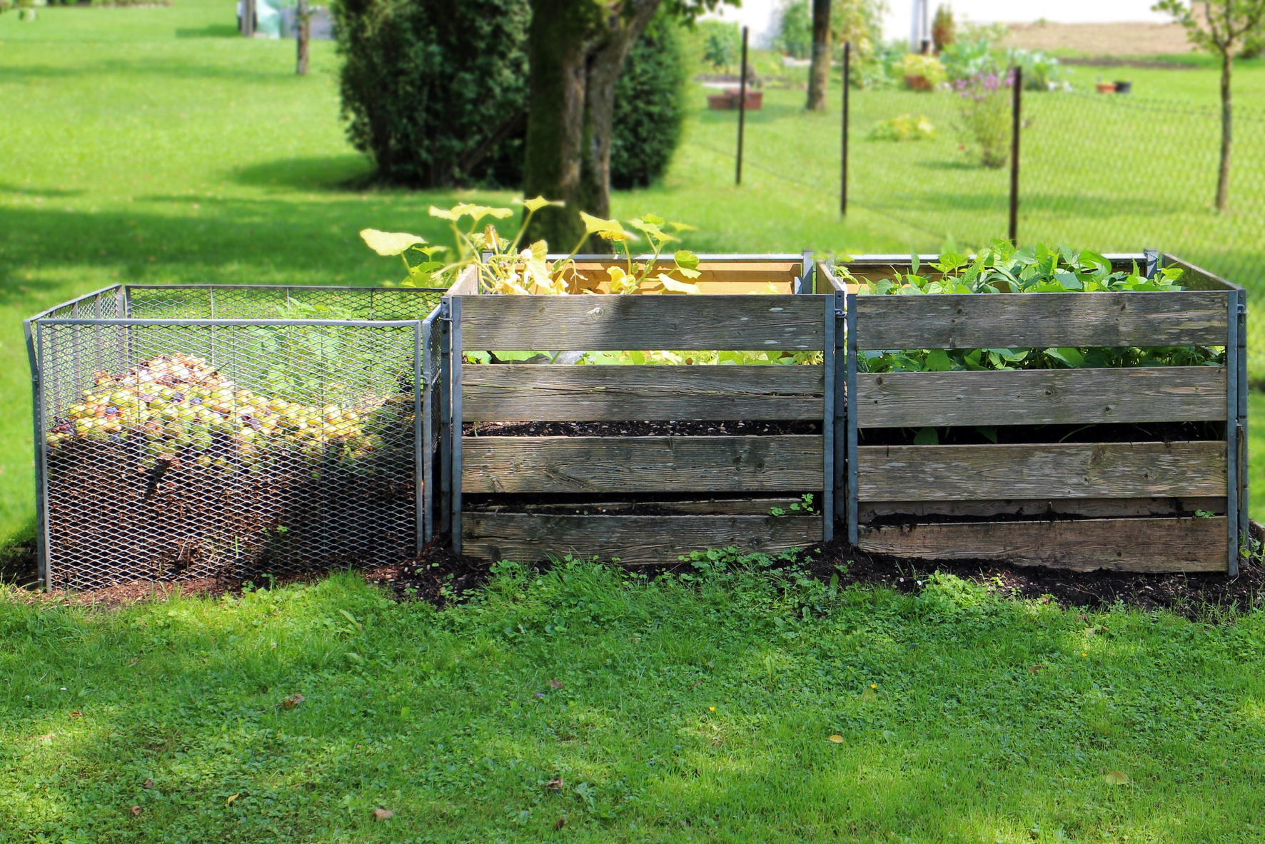 Compost in the Garden