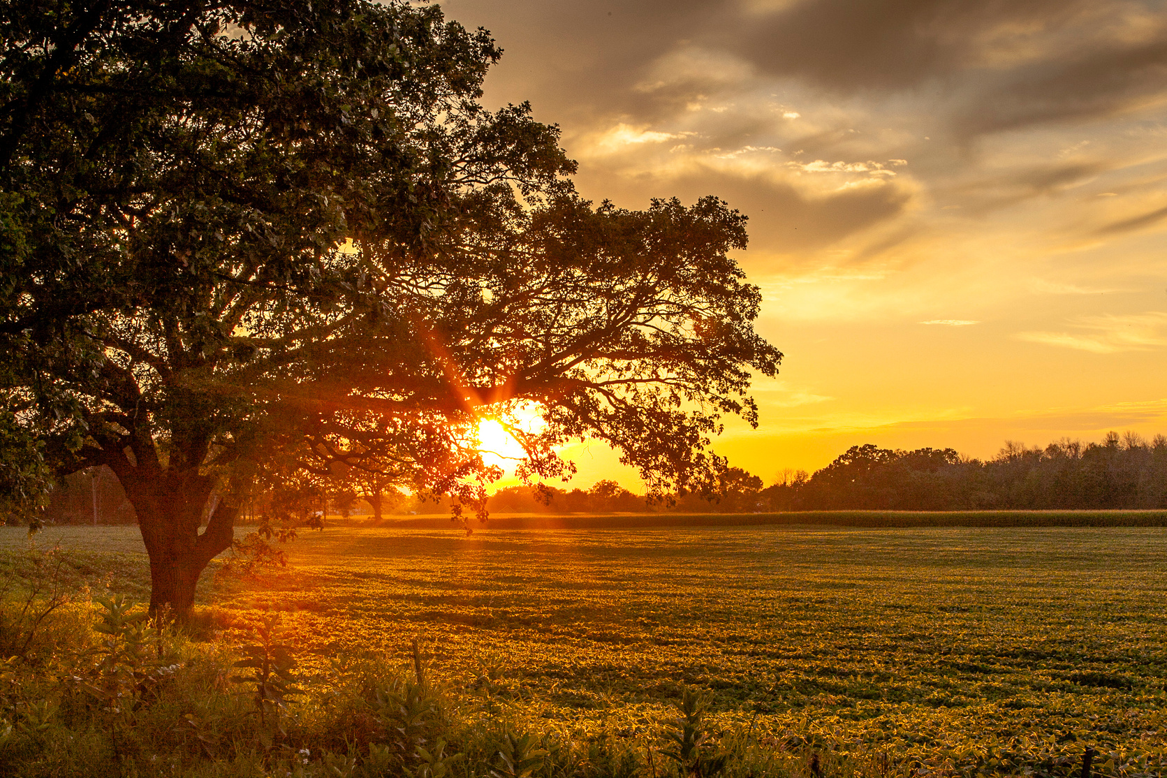 Farm field sunset.